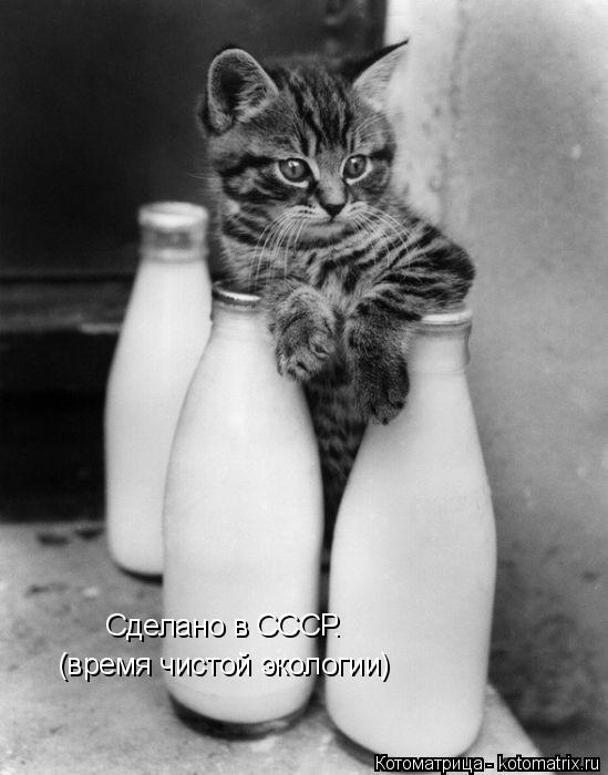 Котоматрица: Сделано в СССР. (время чистой экологии)