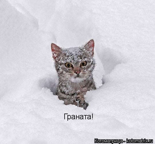 Котоматрица: Граната!