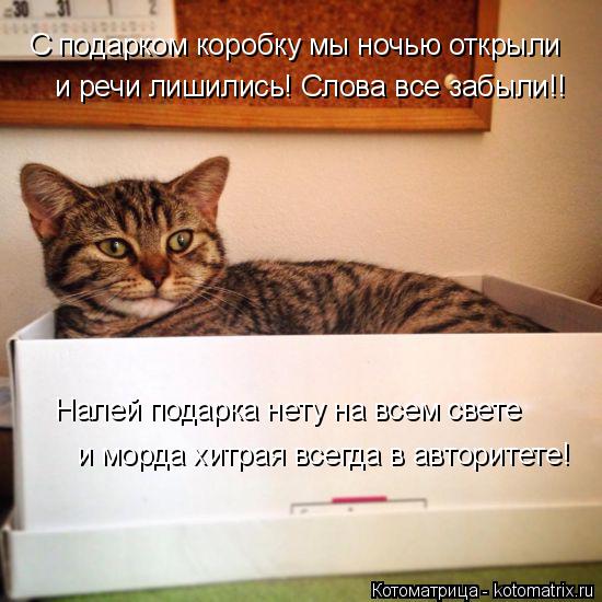 С подарком коробку мы ночью открыли и речи лишились! Слова все забыли!! Налей подарка нету на всем св... Котоматрица: С подарком коробку мы ночью открыли и речи лишились! Слова все забыли!! Налей подарка нету на всем свете и морда хитрая всегда в авторитете!