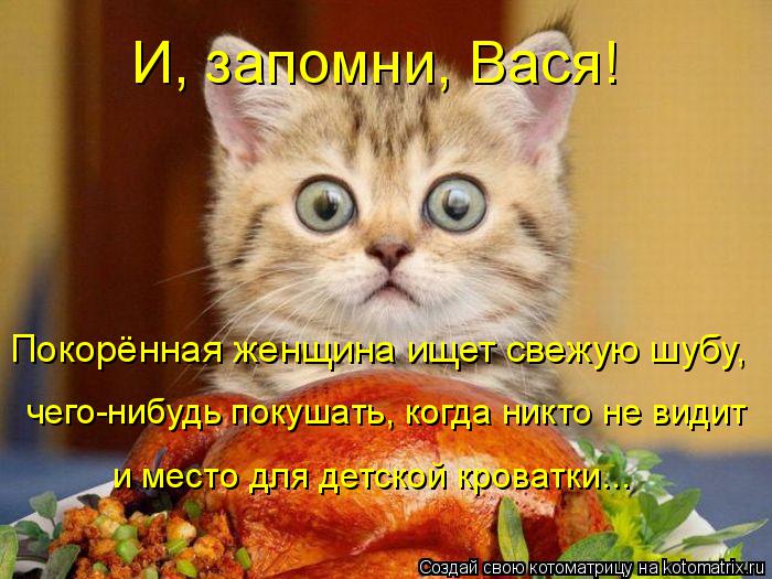 И, запомни, Вася! Покорённая женщина ищет свежую шубу, чего-нибудь покушать, когда никто не видит и м... Котоматрица: И, запомни, Вася! Покорённая женщина ищет свежую шубу, чего-нибудь покушать, когда никто не видит и место для детской кроватки...