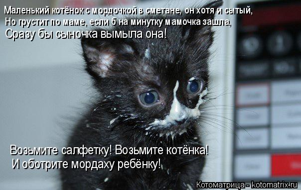 Маленький котёнок с мордочкой в сметане, он хотя и сытый, Но грустит по маме, если б на минутку мамоч... Котоматрица: Маленький котёнок с мордочкой в сметане, он хотя и сытый, Но грустит по маме, если б на минутку мамочка зашла, Сразу бы сыночка вымыла она! Во