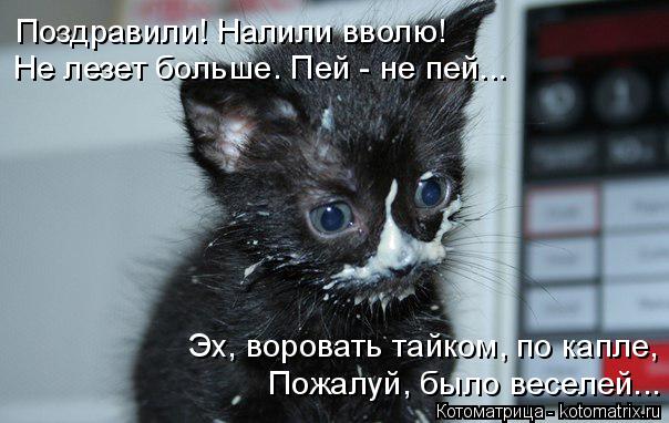 Котоматрица: Поздравили! Налили вволю! Не лезет больше. Пей - не пей... Эх, воровать тайком, по капле, Пожалуй, было веселей...