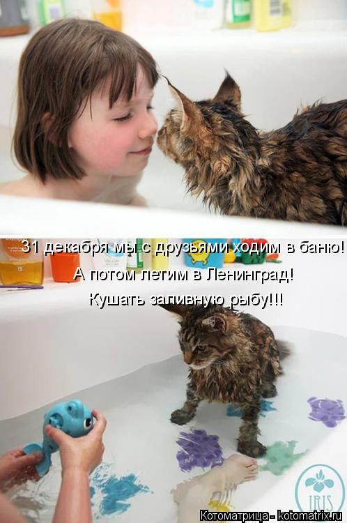 Котоматрица: 31 декабря мы с друзьями ходим в баню! Кушать заливную рыбу!!! А потом летим в Ленинград!