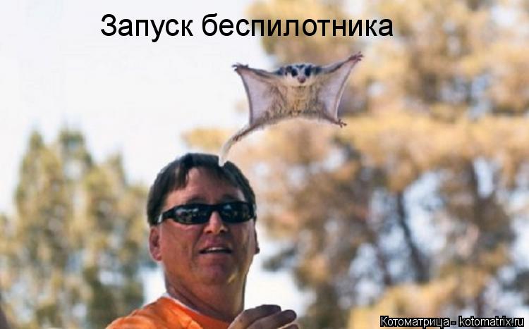 Запуск беспилотника... Котоматрица: Запуск беспилотника