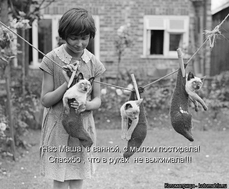 Нас Маша, в ванной, с мылом постирала! Спасибо , что в руках не выжимала!!!... Котоматрица: Нас Маша, в ванной, с мылом постирала! Спасибо , что в руках не выжимала!!!
