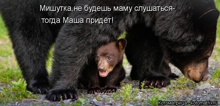 Мишутка,не будешь маму слушаться- тогда Маша придёт!... Котоматрица: Мишутка,не будешь маму слушаться- тогда Маша придёт!