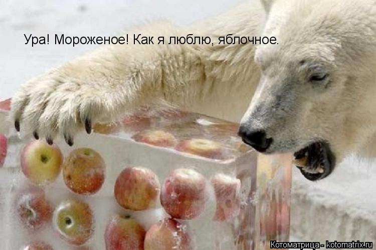 Ура! Мороженое! Как я люблю, яблочное.... Котоматрица: Ура! Мороженое! Как я люблю, яблочное.