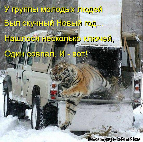 У группы молодых людей Был скучный Новый год... Нашлося несколько ключей, Один совпал. И - вот!... Котоматрица: У группы молодых людей Был скучный Новый год... Нашлося несколько ключей, Один совпал. И - вот!