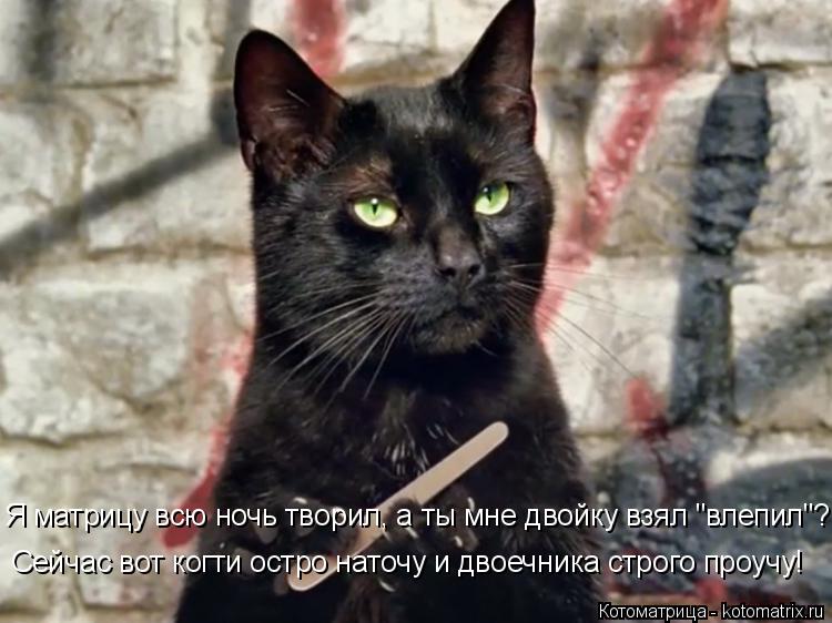 Я матрицу всю ночь творил, а ты мне двойку взял "влепил"? Сейчас вот когти остро наточу и двоечника с... Котоматрица: Я матрицу всю ночь творил, а ты мне двойку взял "влепил"? Сейчас вот когти остро наточу и двоечника строго проучу!