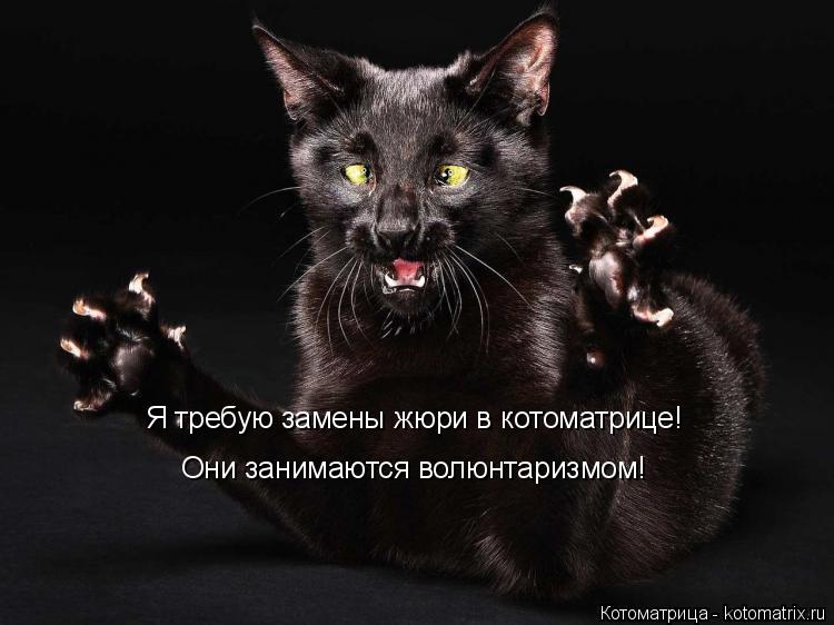 Я требую замены жюри в котоматрице! Они занимаются волюнтаризмом!... Котоматрица: Я требую замены жюри в котоматрице! Они занимаются волюнтаризмом!