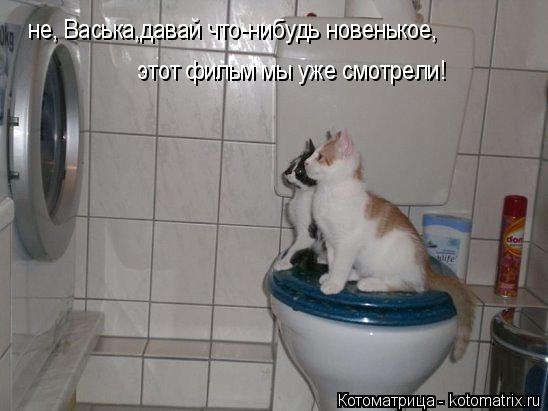 Котоматрица: не, Васька,давай что-нибудь новенькое, этот фильм мы уже смотрели!