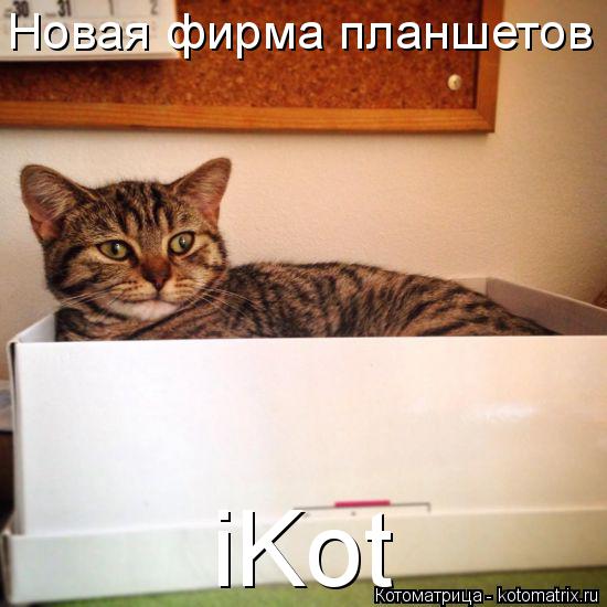 Котоматрица: Новая фирма планшетов iKot