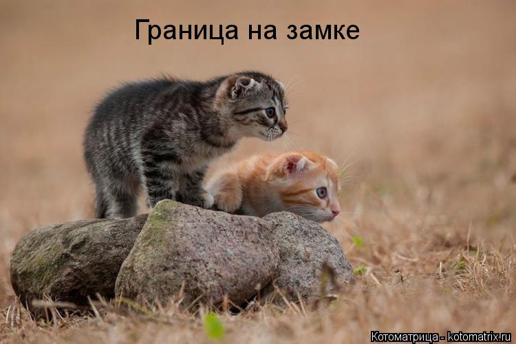 Граница на замке... Котоматрица: Граница на замке