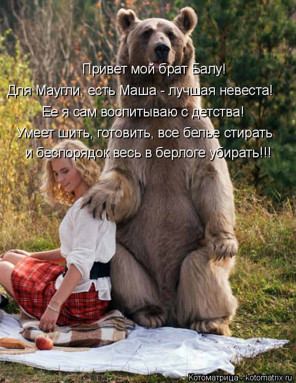 Котоматрица: Привет мой брат Балу! Для Маугли, есть Маша - лучшая невеста! Ее я сам воспитываю с детства! Умеет шить, готовить, все белье стирать и беспоряд