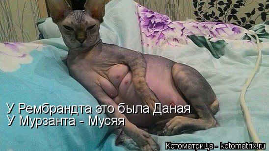 Котоматрица: У Рембрандта это была Даная У Мурзанта - Мусяя