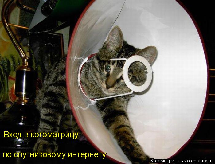 Вход в котоматрицу по спутниковому интернету... Котоматрица: Вход в котоматрицу по спутниковому интернету
