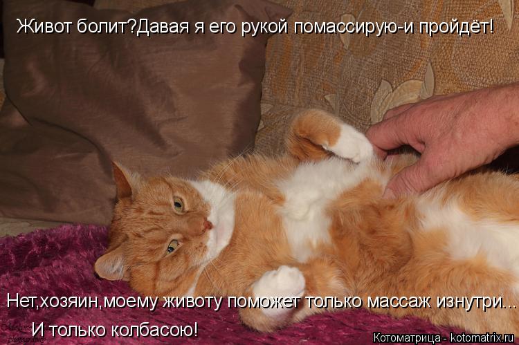 Живот болит?Давая я его рукой помассирую-и пройдёт! Нет,хозяин,моему животу поможет только массаж изн... Котоматрица: Живот болит?Давая я его рукой помассирую-и пройдёт! Нет,хозяин,моему животу поможет только массаж изнутри... И только колбасою!