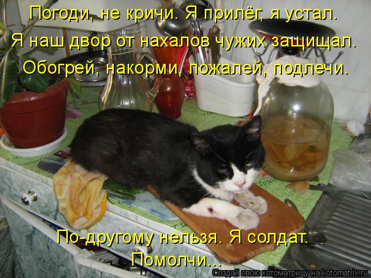 Погоди, не кричи. Я прилёг, я устал. Я наш двор от нахалов чужих защищал. Обогрей, накорми, пожалей, ... Котоматрица: Погоди, не кричи. Я прилёг, я устал. Я наш двор от нахалов чужих защищал. Обогрей, накорми, пожалей, подлечи. По-другому нельзя. Я солдат. Помол