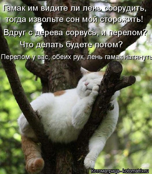 :      ,     !    ,  ?    ?   