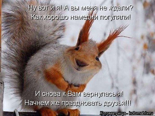 Как хорошо намедни погуляли! И снова к Вам вернулась я! Ну вот и я! А вы меня не ждали? Начнем же пра... Котоматрица: Как хорошо намедни погуляли! И снова к Вам вернулась я! Ну вот и я! А вы меня не ждали? Начнем же праздновать друзья!!!