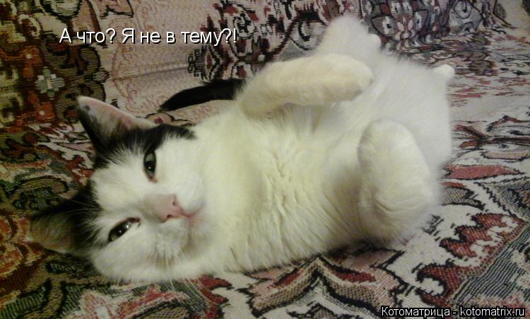 А что? Я не в тему?!... Котоматрица: А что? Я не в тему?!