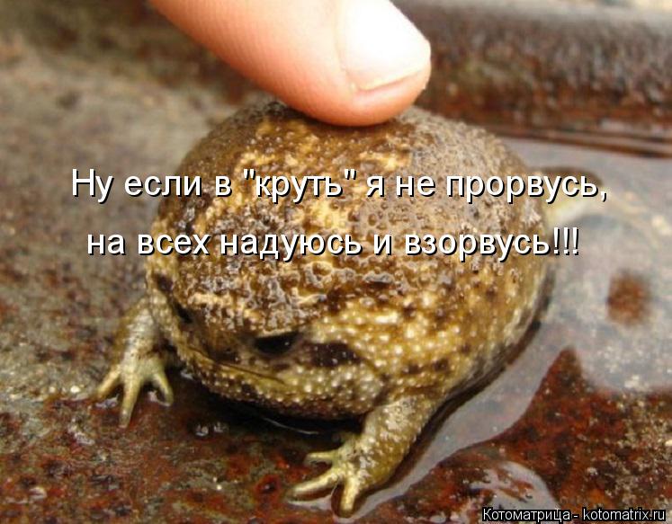 Котоматрица: Ну если в "круть" я не прорвусь, на всех надуюсь и взорвусь!!!