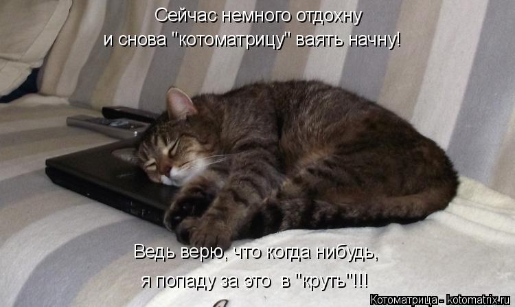 Котоматрица: Сейчас немного отдохну и снова "котоматрицу" ваять начну! Ведь верю, что когда нибудь, я попаду за это  в "круть"!!!