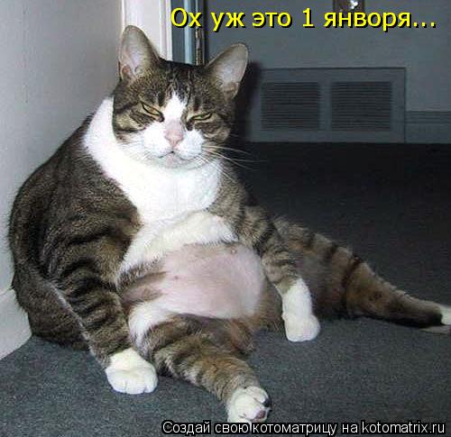 Ох уж это 1 янворя... Ох уж это 1 янворя...... Котоматрица: Ох уж это 1 янворя... Ох уж это 1 янворя...