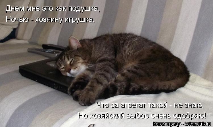:     ,  -  .     -  ,     !