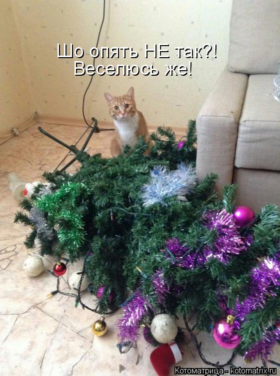 Котоматрица: Шо опять НЕ так?! Веселюсь же!