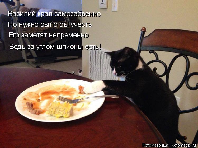 Котоматрица: Василий крал самозабвенно  Но нужно было бы учесть Его заметят непременно Ведь за углом шпионы есть! -->