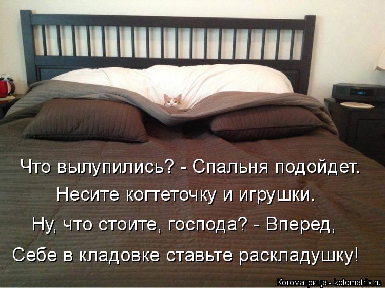 Что вылупились? - Спальня подойдет. Несите когтеточку и игрушки. Ну, что стоите, господа? - Вперед, ... Котоматрица: Что вылупились? - Спальня подойдет. Несите когтеточку и игрушки. Ну, что стоите, господа? - Вперед, Себе в кладовке ставьте раскладушку!