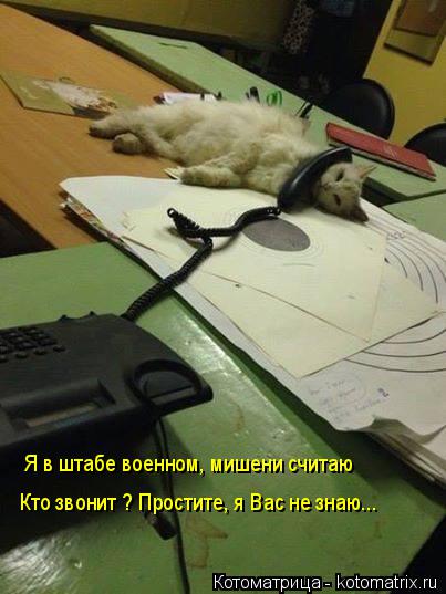 Котоматрица: Я в штабе военном, мишени считаю Кто звонит ? Простите, я Вас не знаю...