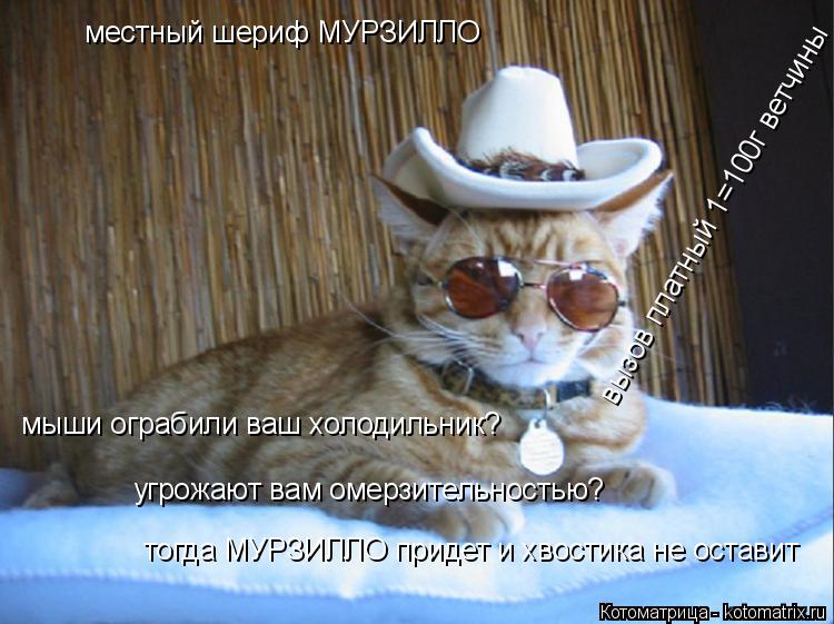 Котоматрица: местный шериф МУРЗИЛЛО мыши ограбили ваш холодильник? угрожают вам омерзительностью? тогда МУРЗИЛЛО придет и хвостика не оставит вызов пл