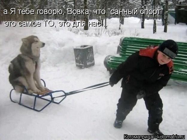 а Я тебе говорю, Вовка, что "санный спорт" - это самое ТО, это для нас!..... Котоматрица: а Я тебе говорю, Вовка, что "санный спорт" - это самое ТО, это для нас!..