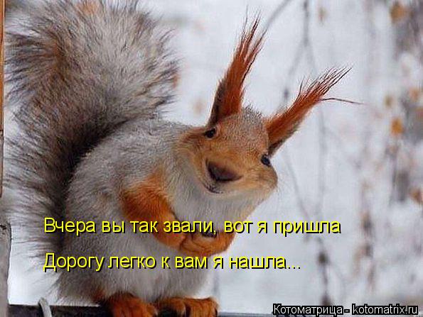 Котоматрица: Вчера вы так звали, вот я пришла Дорогу легко к вам я нашла...