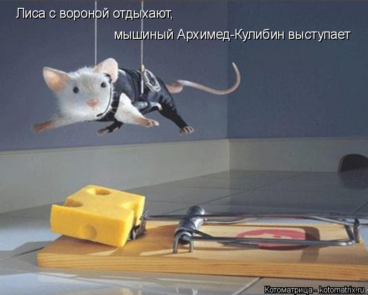Лиса с вороной отдыхают, мышиный Архимед-Кулибин выступает... Котоматрица: Лиса с вороной отдыхают, мышиный Архимед-Кулибин выступает
