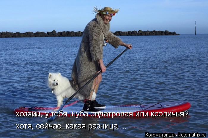 хозяин, у тебя шуба ондатровая или кроличья? хотя, сейчас, какая разница....... Котоматрица: хозяин, у тебя шуба ондатровая или кроличья? хотя, сейчас, какая разница....