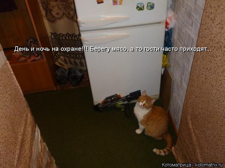 День и ночь на охране!!! Берегу мясо, а то гости часто приходят... День и ночь на охране!!! Берегу мя... Котоматрица: День и ночь на охране!!! Берегу мясо, а то гости часто приходят... День и ночь на охране!!! Берегу мясо, а то гости часто приходят...