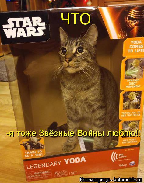 ЧТО -я тоже Звёзные Войны люблю!!... Котоматрица: ЧТО -я тоже Звёзные Войны люблю!!