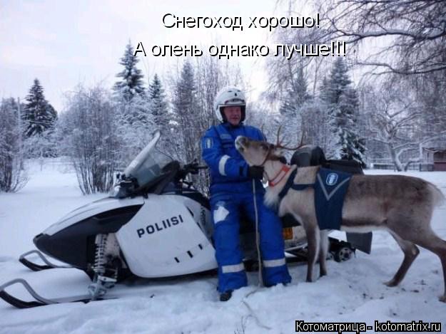 Котоматрица: Снегоход хорошо! А олень однако лучше!!!