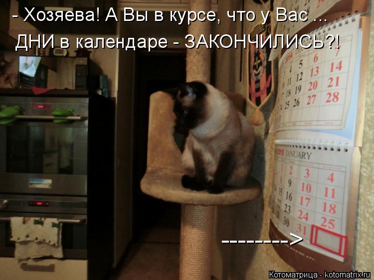 Котоматрица: - Хозяева! А Вы в курсе, что у Вас ... ДНИ в календаре - ЗАКОНЧИЛИСЬ?! -------->