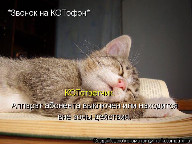 *Звонок на КОТофон* Аппарат абонента выключен или находится вне зоны действия. КОТответчик:... Котоматрица: *Звонок на КОТофон* Аппарат абонента выключен или находится вне зоны действия. КОТответчик: