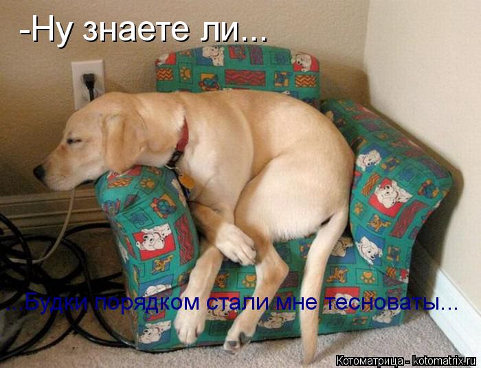 Котоматрица: -Ну знаете ли... ...Будки порядком стали мне тесноваты...