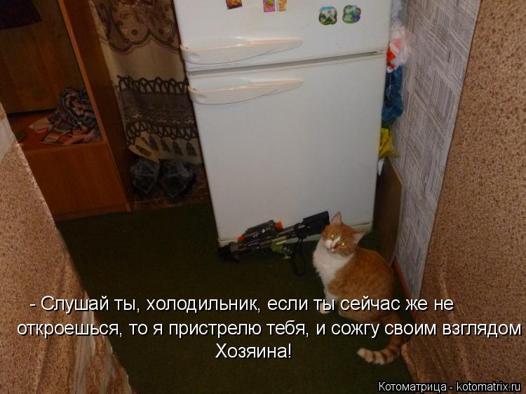 - Слушай ты, холодильник, если ты сейчас же не откроешься, то я пристрелю тебя, и сожгу своим взг... Котоматрица: - Слушай ты, холодильник, если ты сейчас же не откроешься, то я пристрелю тебя, и сожгу своим взглядом Хозяина!