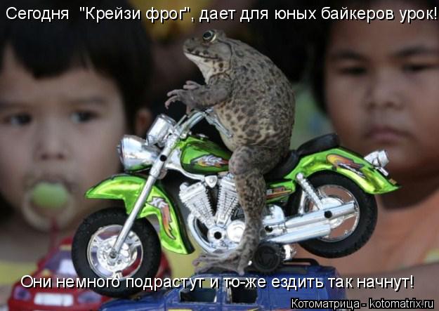 Котоматрица: Сегодня  "Крейзи фрог", дает для юных байкеров урок! Они немного подрастут и то-же ездить так начнут!