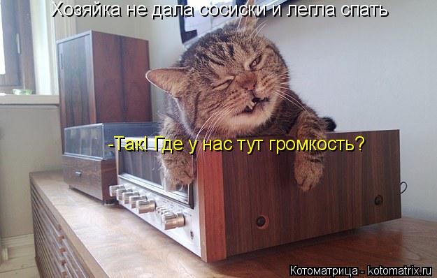 Котоматрица: Хозяйка не дала сосиски и легла спать -Так! Где у нас тут громкость?