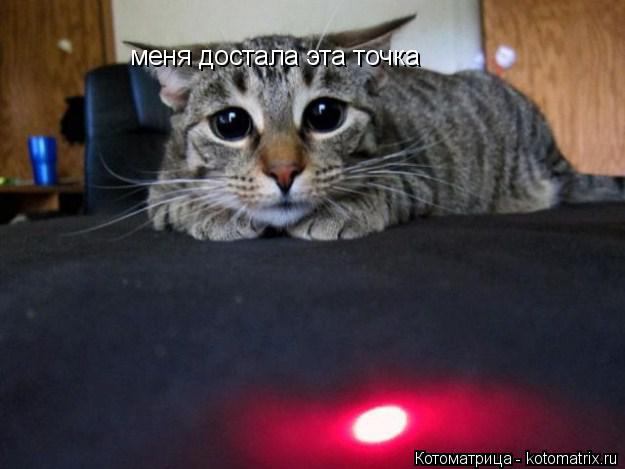 меня достала эта точка... Котоматрица: меня достала эта точка