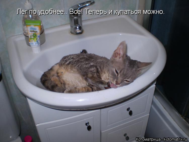 Котоматрица: Лег по удобнее.. Все! Теперь и купаться можно.