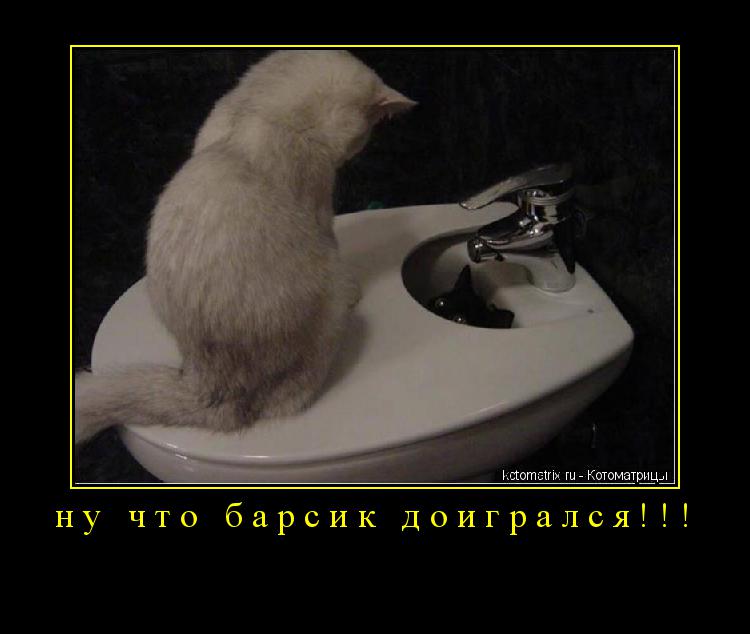 Котоматрица: ну что барсик доигрался!!! 